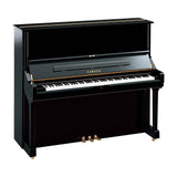 Yamaha U3 Acoustic Piano with Home Installation & Bench