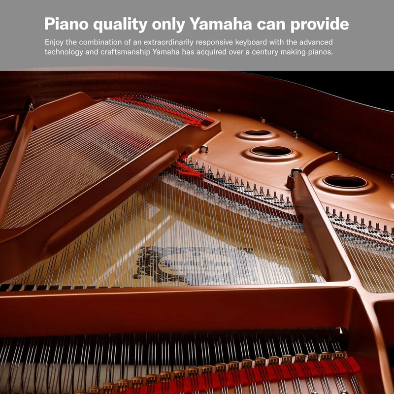Yamaha P-125AB Digital Piano With 88 Keys (Portable Digital Piano) Adaptor Included