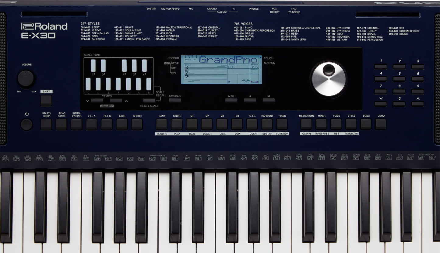 e-x30_scaletune_gal